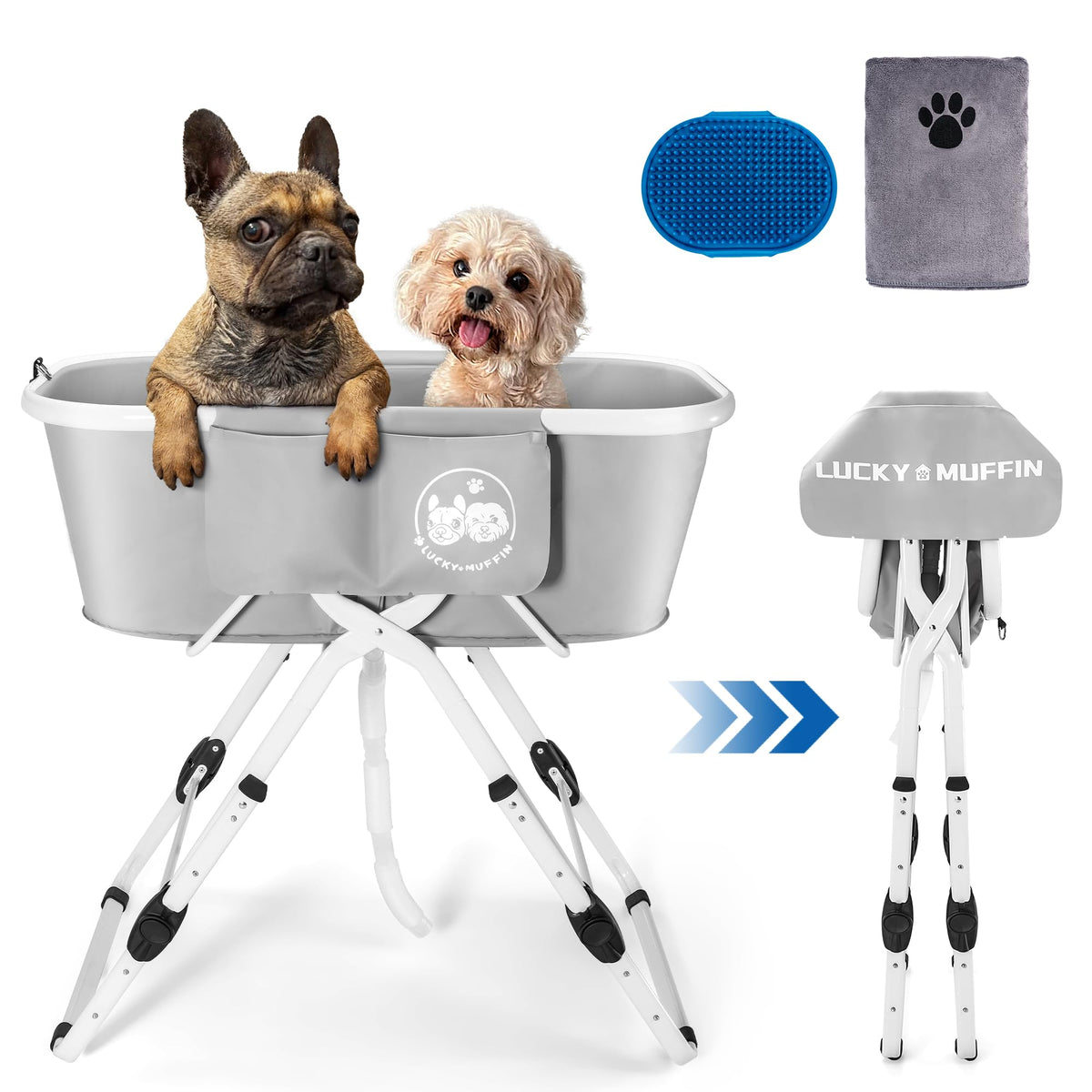 Two dogs in a gray pet bahtub with accessories on a white background