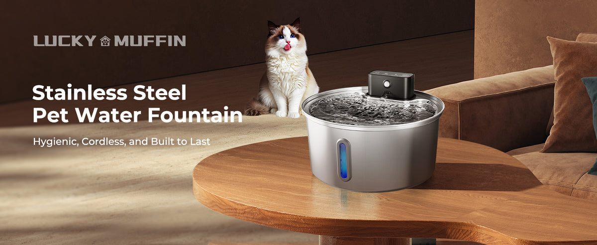 Stainless Steel Water Fountain