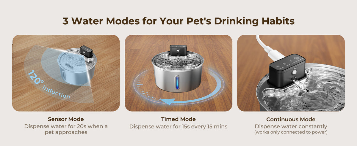 3 Water Modes