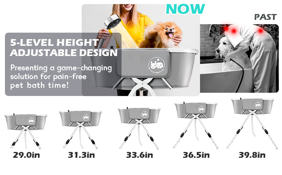 5 Level Height Adjustable Design