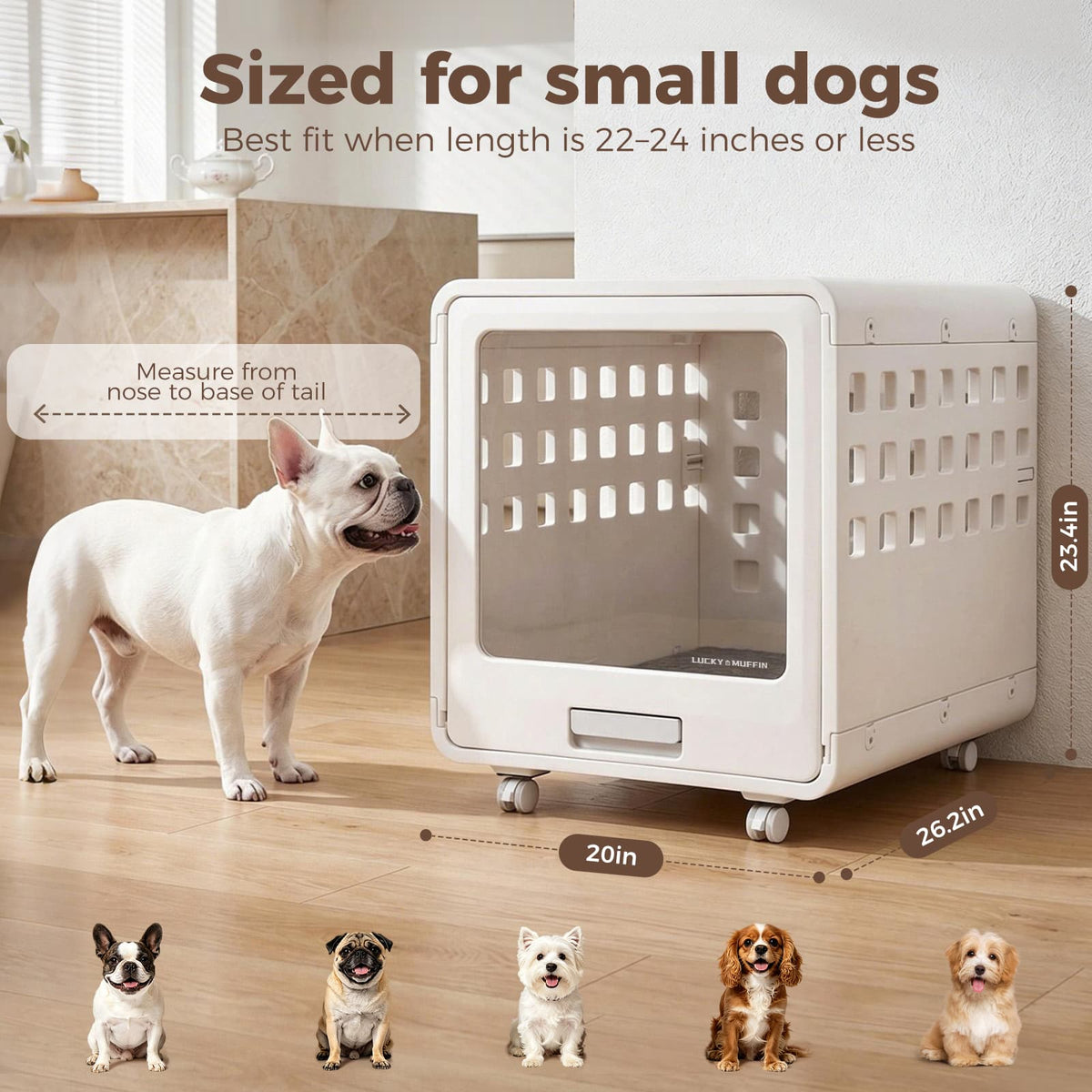 Pet carrier for small dogs with a white dog standing next to it, showing measurements.