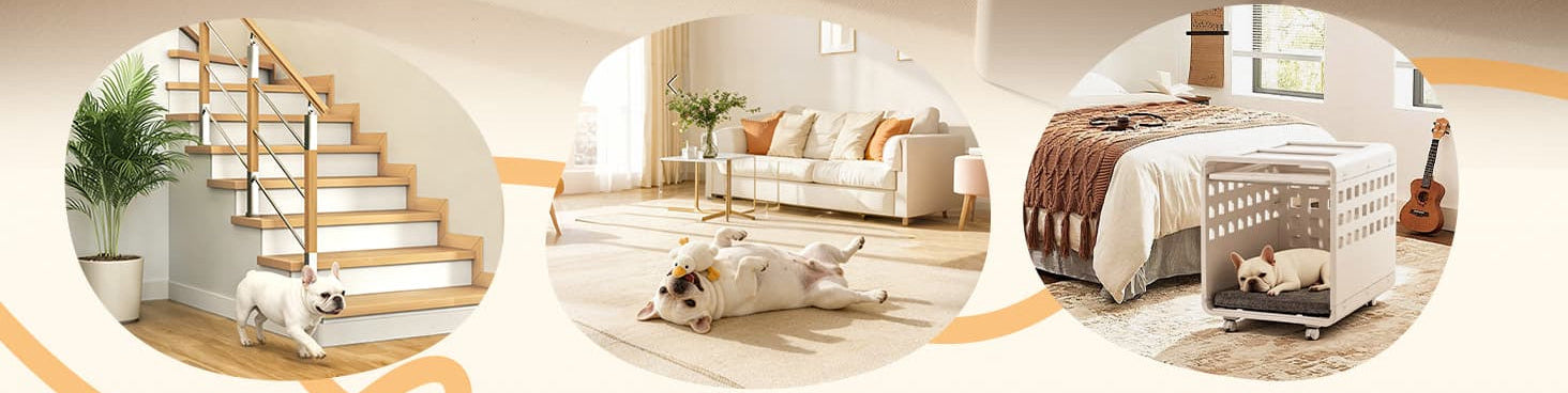 Living room with a dog, staircase, and pet bed, featuring text 'Life with dogs follows a rhythm'.