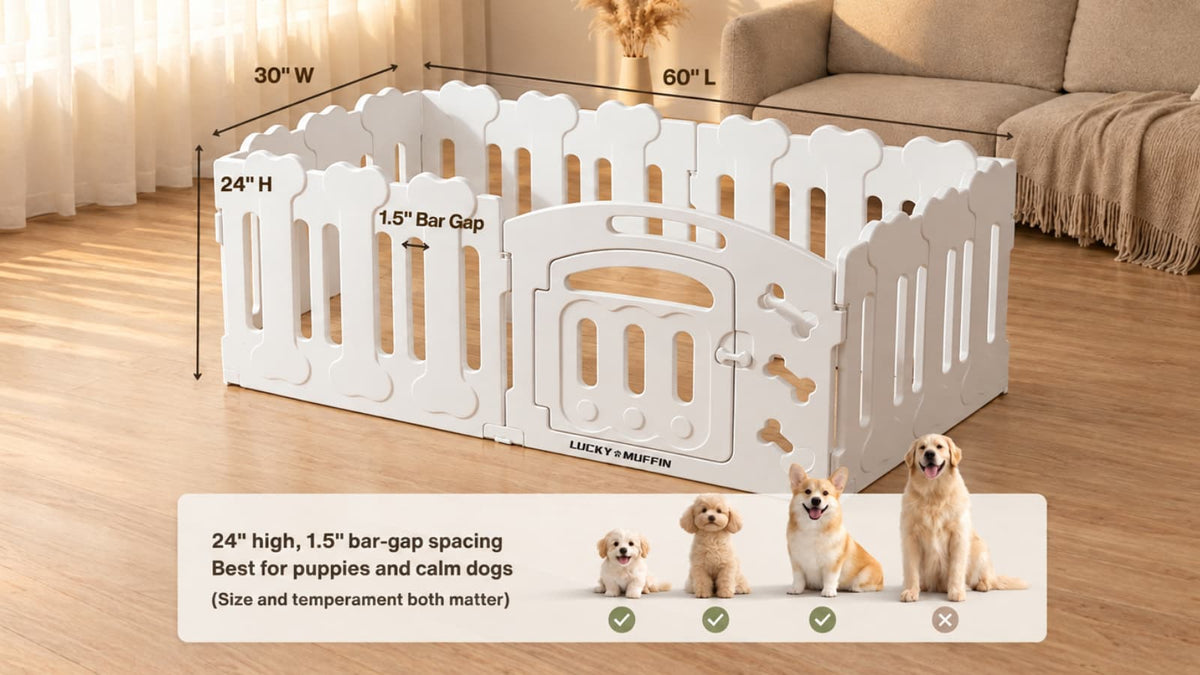 Is Harbor right for my dog?