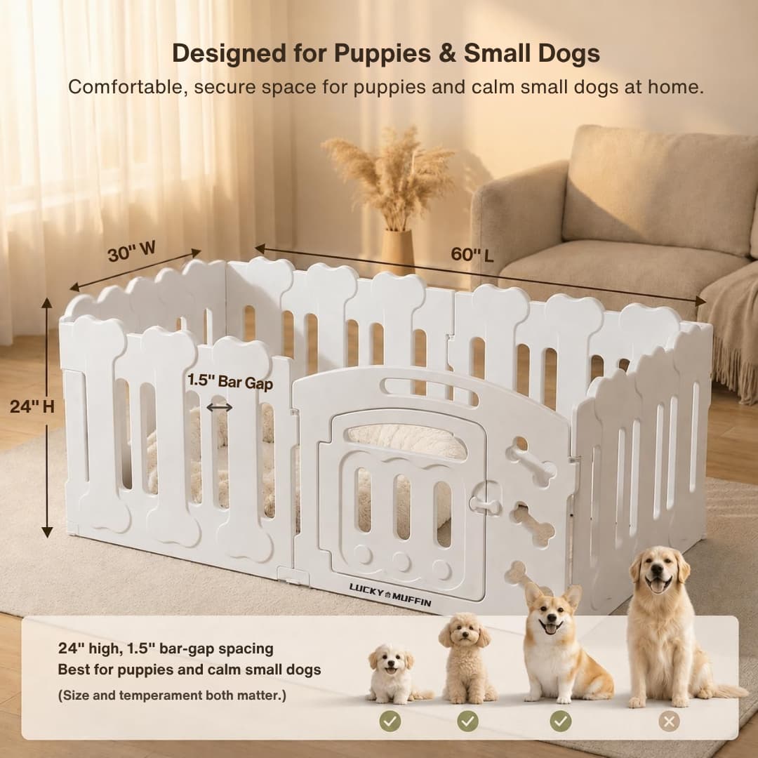 White plastic puppy playpen with gate and dimension callouts, shown in a living room setting with small dogs at the bottom and text describing size and spacing.
