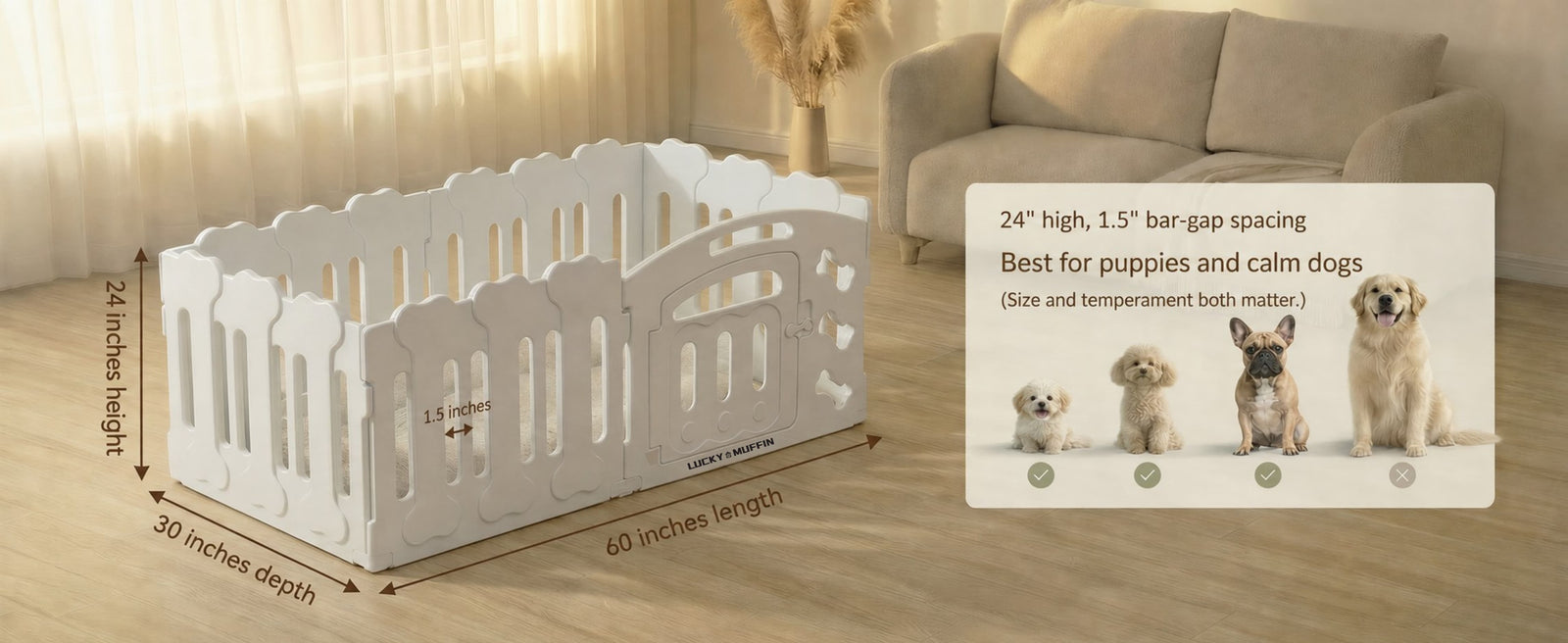 Is Harbor right for my dog?
