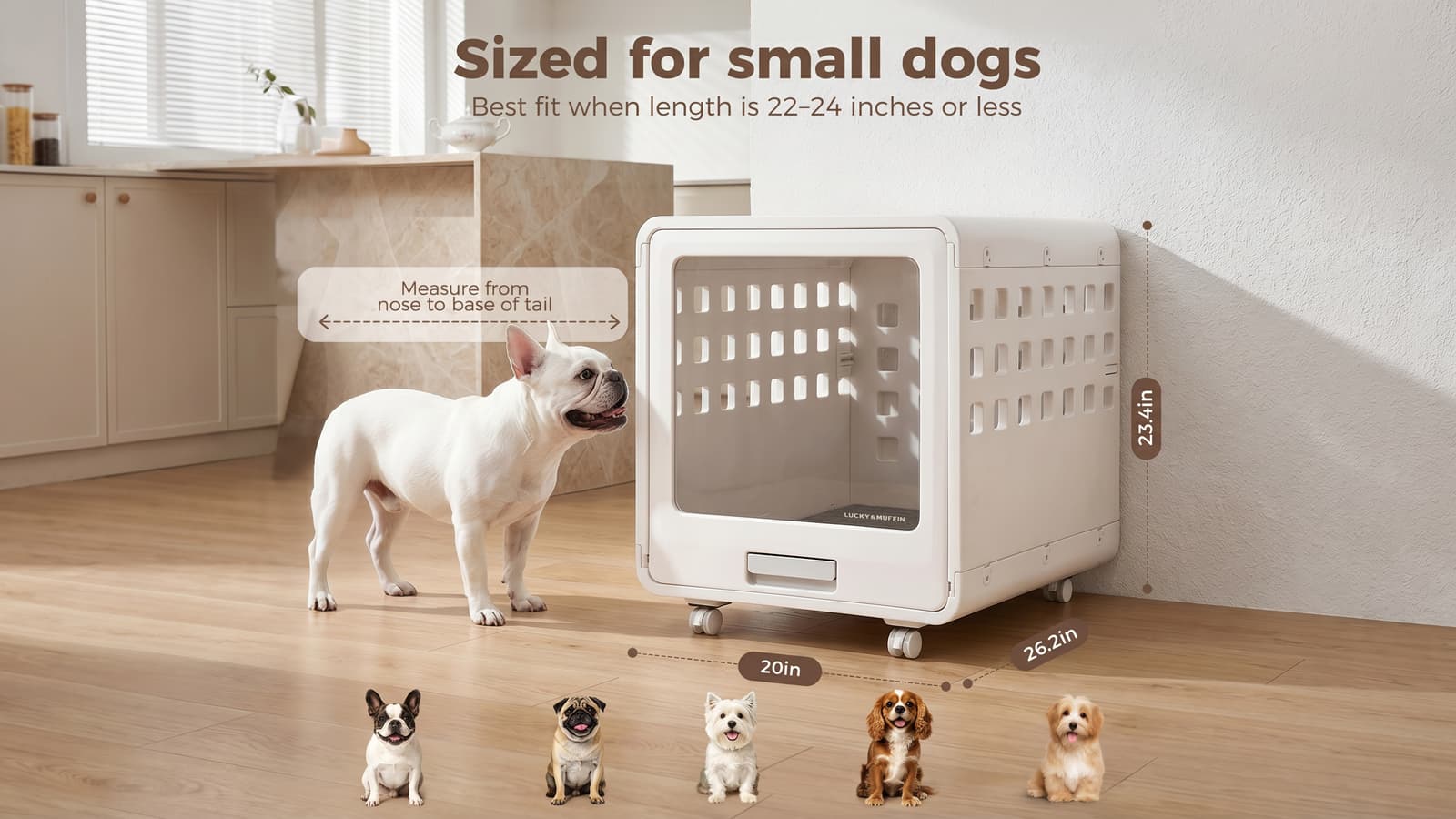 Will Haven fit my dog?