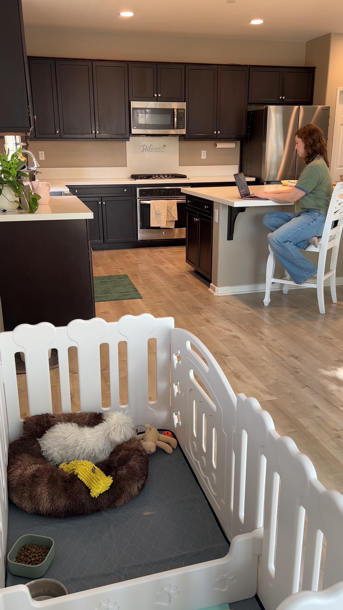 Load video: Day In Life with Dog and Lucky Muffin Harbor Dog Playpen
